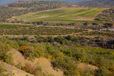 Similar image 1542733