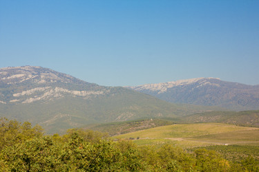 Similar image 1542734