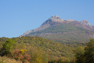 Similar image 1542737