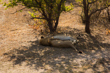 Similar image 1542739