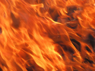 Similar image 1542740