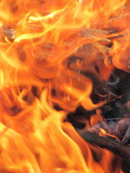 Similar image 1542749