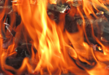 Similar image 1542750