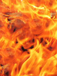 Similar image 1542751