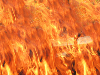 Similar image 1542753