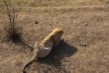 Similar image 1542756