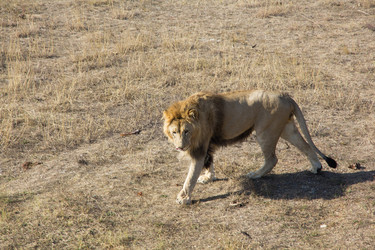 Similar image 1542757