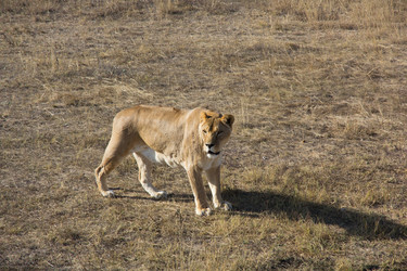 Similar image 1542758