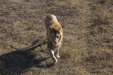 Similar image 1542759