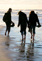 Similar image 1542991