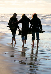 Similar image 1542992