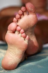 Similar image 1543016