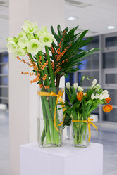 Similar image 1543027