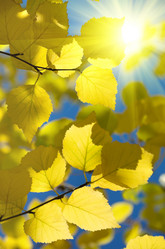 Similar image 1543033