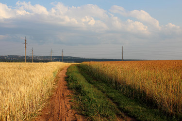 Similar image 1543034