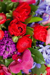 Similar image 1543050