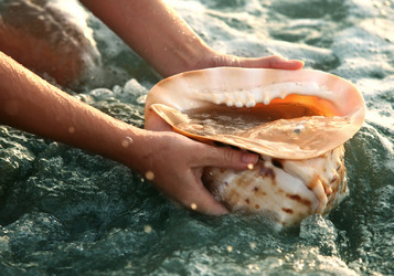 Similar image 1543063