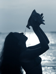 Similar image 1543087