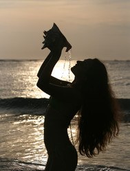 Similar image 1543088