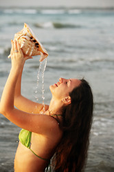 Similar image 1543093