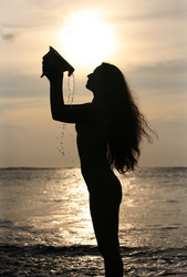 Similar image 1543103