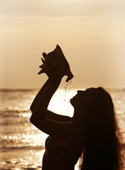 Similar image 1543105