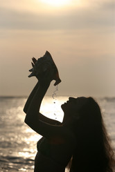 Similar image 1543108