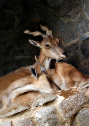 Similar image 1543150