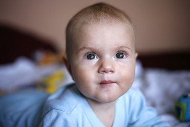 Similar image 1543155