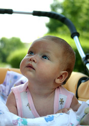 Similar image 1543227