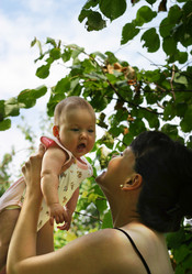 Similar image 1543233