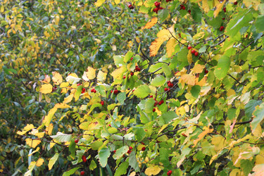 Similar image 1543246