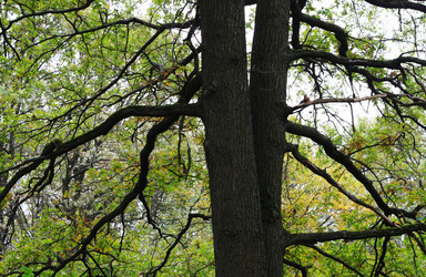 Similar image 1543247