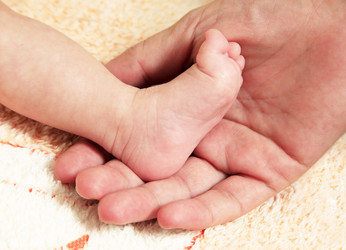 Similar image 1543291