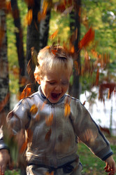 Similar image 1543308