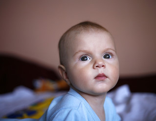 Similar image 1543331