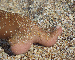 Similar image 1543377