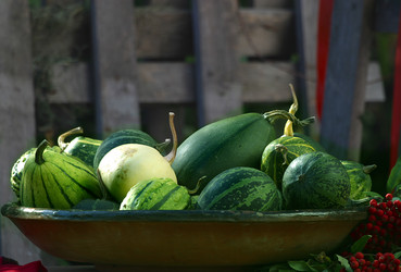 Similar image 1543396