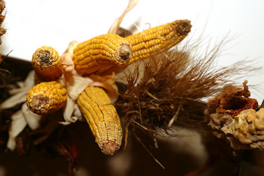 Similar image 1543411