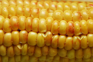 Similar image 1543412