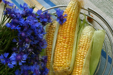 Similar image 1543416