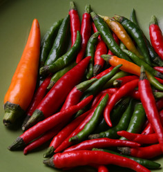 Similar image 1543435