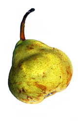 Similar image 1543450