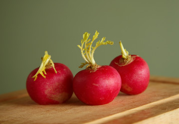 Similar image 1543458