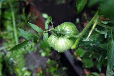 Similar image 1543461