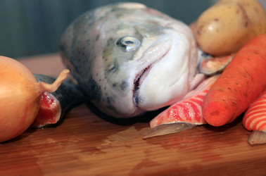 Similar image 1543481