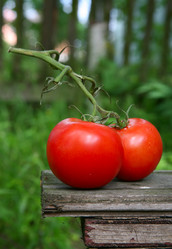 Similar image 1543504