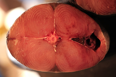 Similar image 1543507