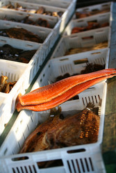 Similar image 1543510