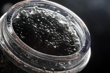 Similar image 1543513